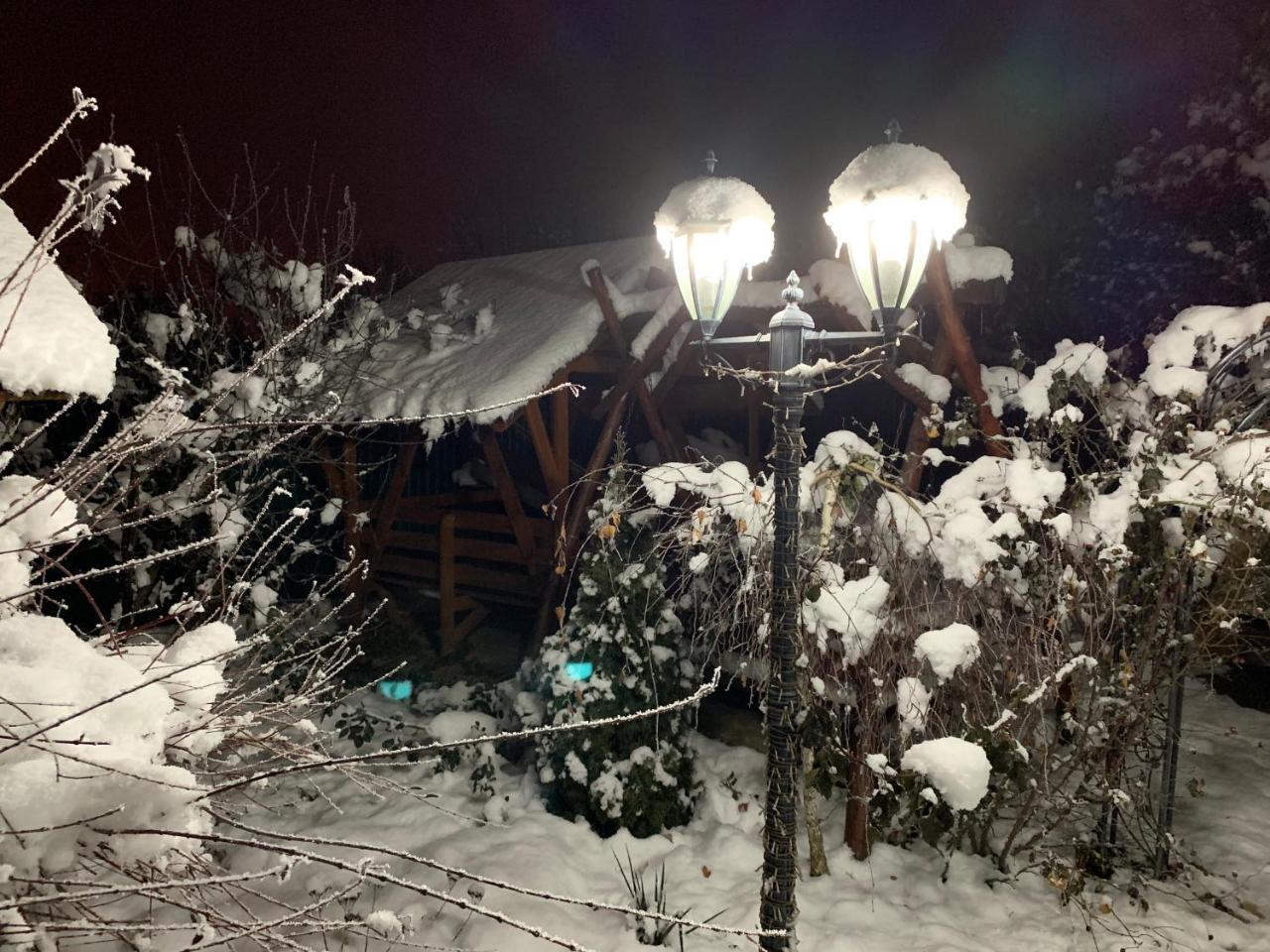 Міні Готель Вілла Вікторія Berehowe Exterior foto